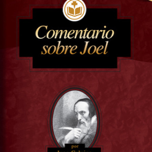 Comentario sobre Joel