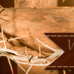 Vida Cristiana